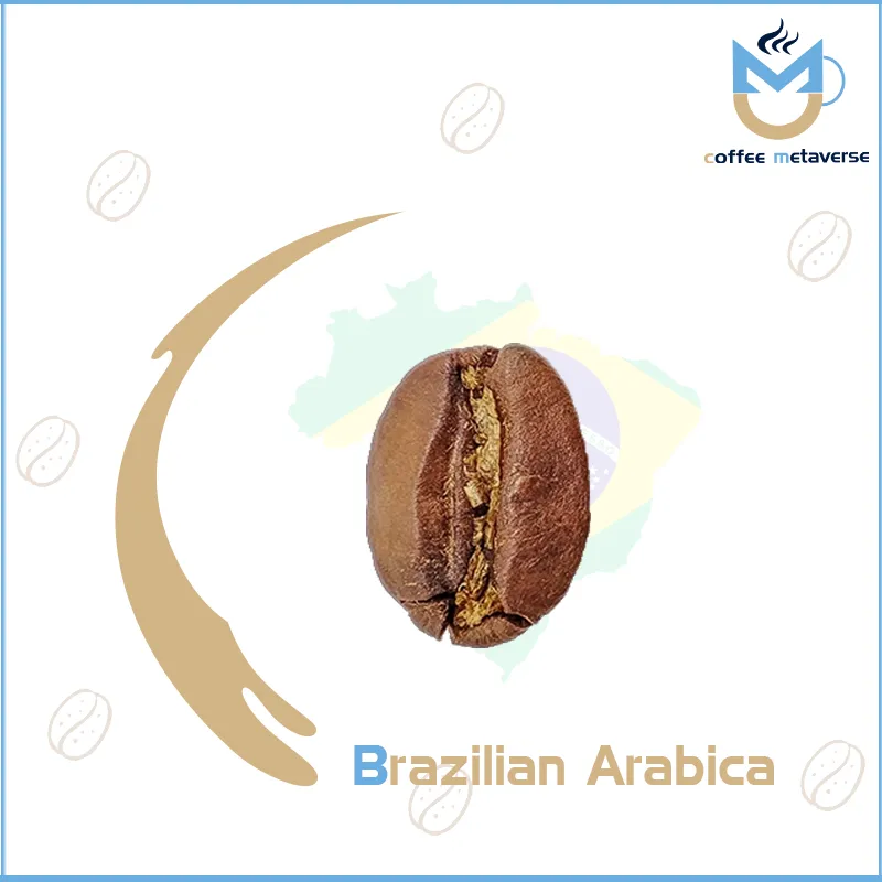 Brazilian Arabica