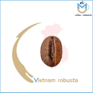 Vietnam robusta