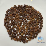 عکس دان قهوه اتیوپی عربیکا